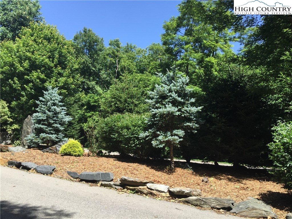 Lot 8 Crown Point Road West Jefferson, NC 28694 - Photo 12 of 19 Gallery Image 12