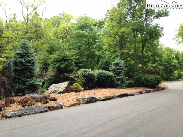 Lot 8 Crown Point Road West Jefferson, NC 28694 - Photo 19 of 19 Gallery Image 19
