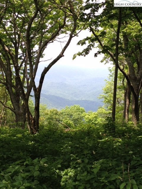 Lot 8 Crown Point Road West Jefferson, NC 28694 - Photo 2 of 19 Gallery Image 2