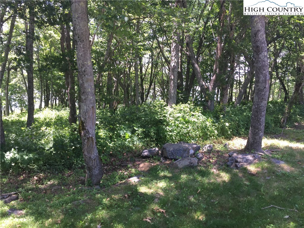Lot 8 Crown Point Road West Jefferson, NC 28694 - Photo 7 of 19 Gallery Image 7