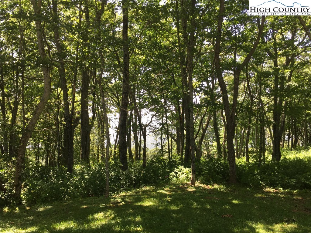 Lot 8 Crown Point Road West Jefferson, NC 28694 - Photo 8 of 19 Gallery Image 8