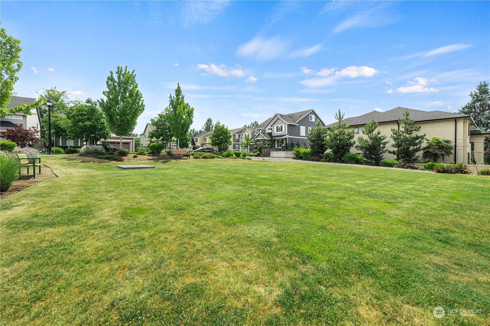 5764 Northeast 7th Court Renton, WA 98059 - Photo 40 of 40 a view of a trees in a field