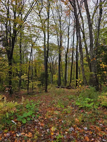 $74,900 | 0 Heartwellville View Road, Unit 64/65/66/69/70, Readsboro, VT 05350