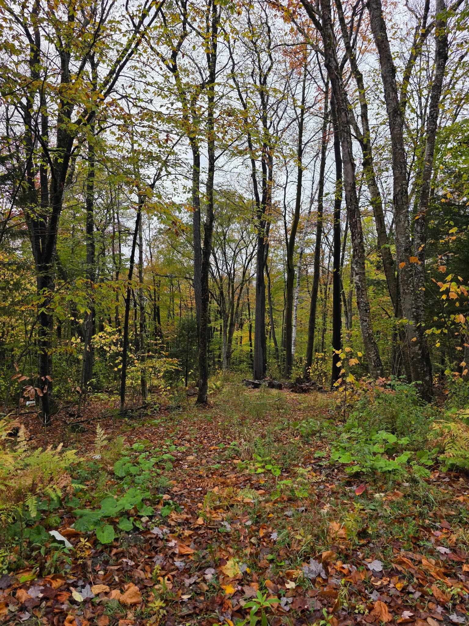 0 Heartwellville View Road, Unit 64/65/66/69/70 Readsboro, VT 05350 - Photo 1 of 2