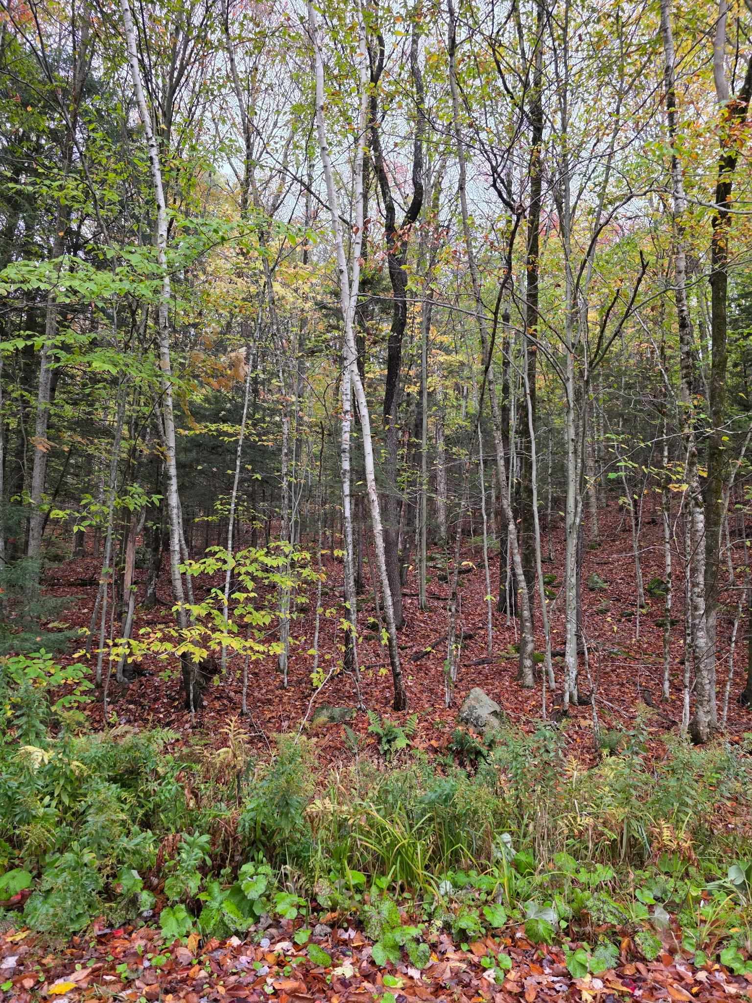 0 Heartwellville View Road, Unit 64/65/66/69/70 Readsboro, VT 05350 - Photo 2 of 2
