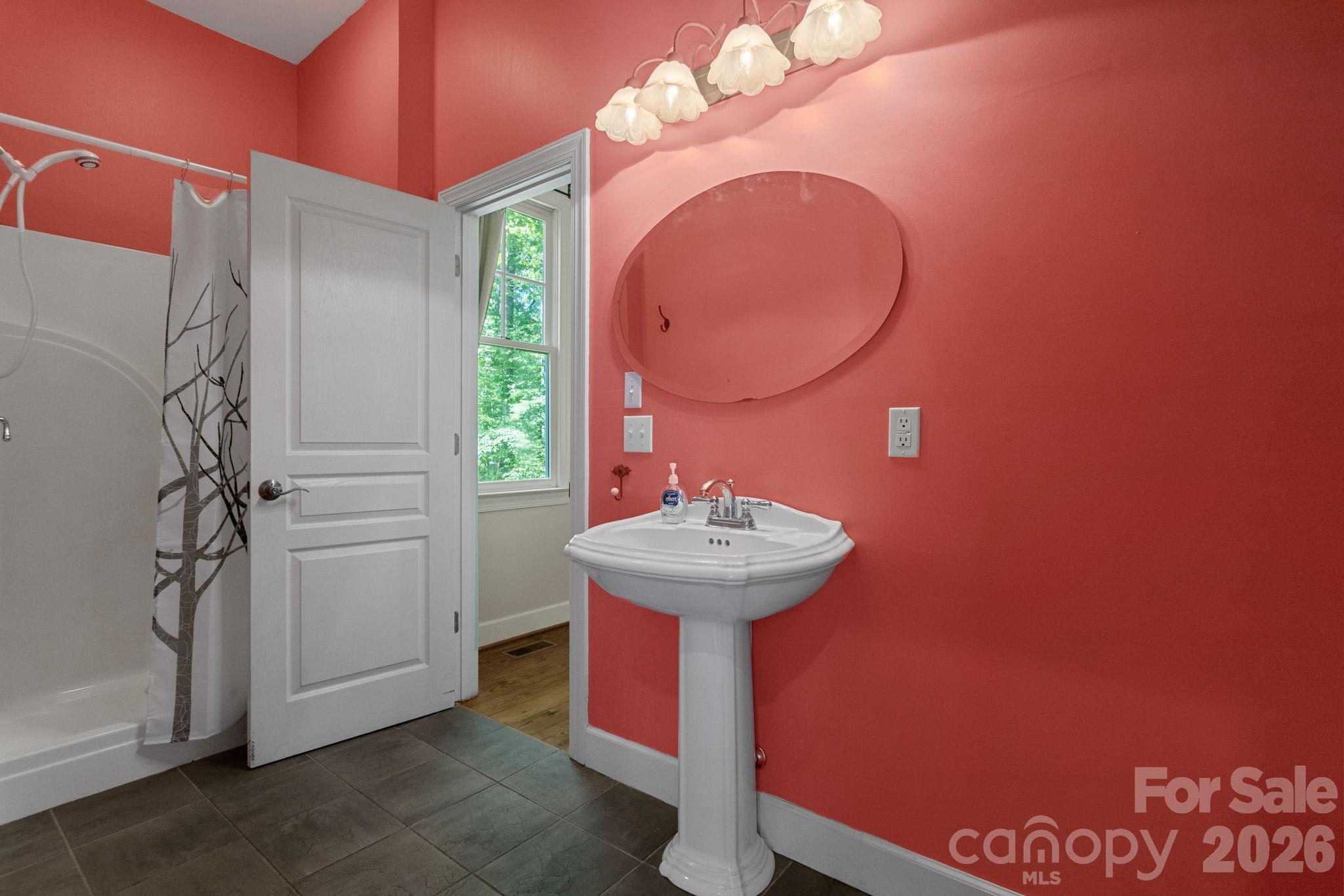 2825 Hunting Country Road Tryon, NC 28782 - Photo 16 of 41 a bathroom with a sink a mirror and a shower