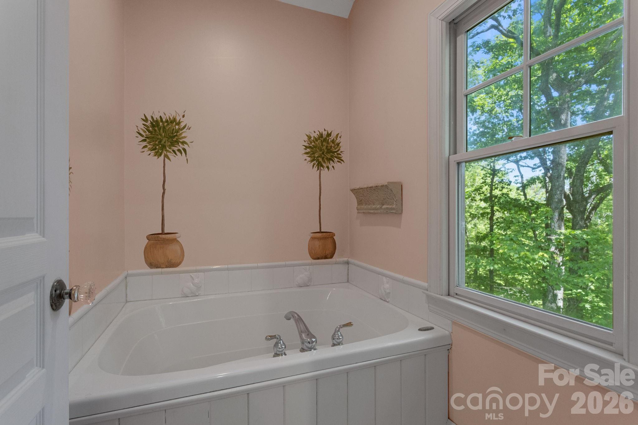 2825 Hunting Country Road Tryon, NC 28782 - Photo 30 of 41 a bathroom with a bathtub