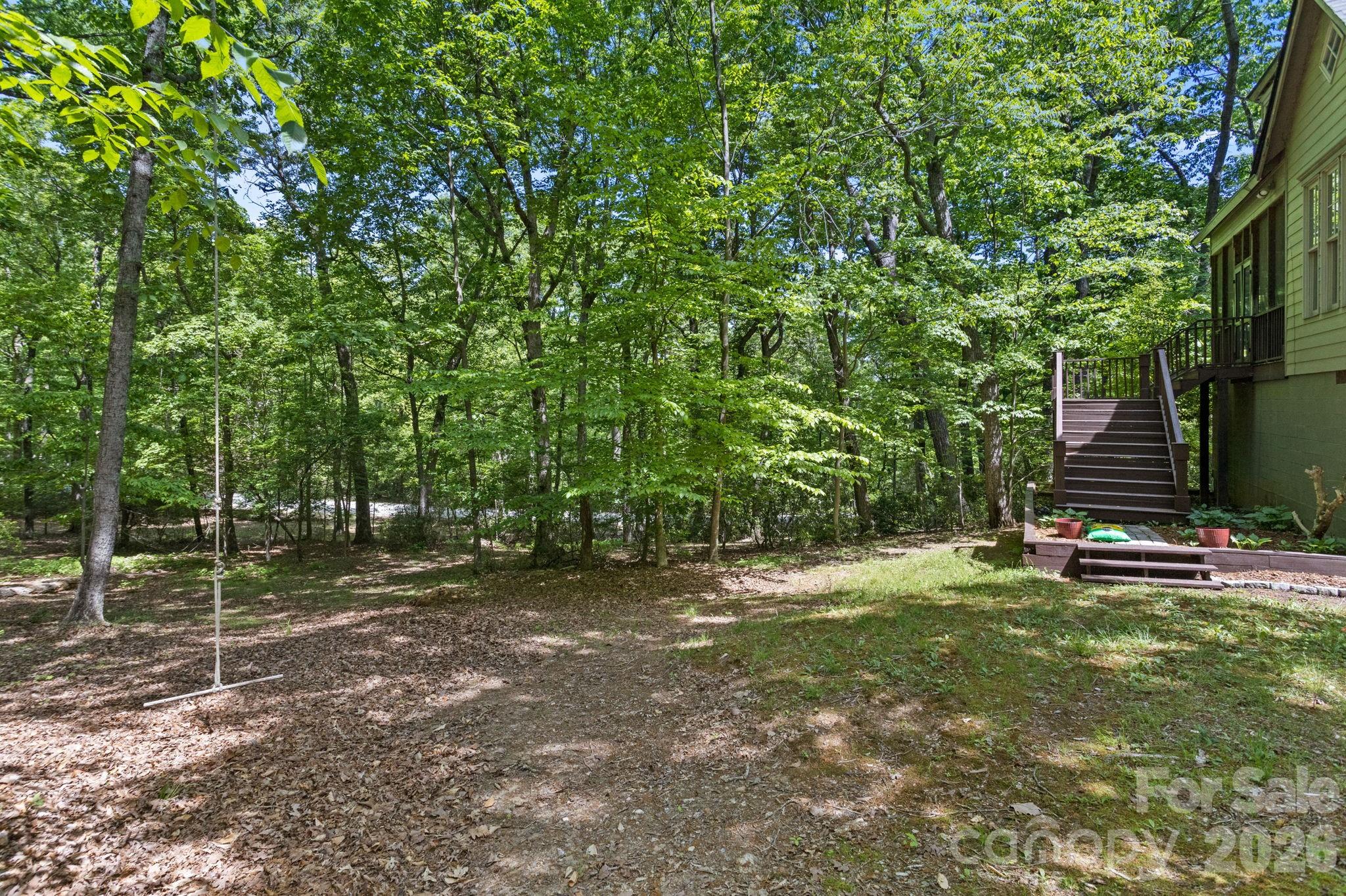 2825 Hunting Country Road Tryon, NC 28782 - Photo 37 of 41 a view of a field with a tree