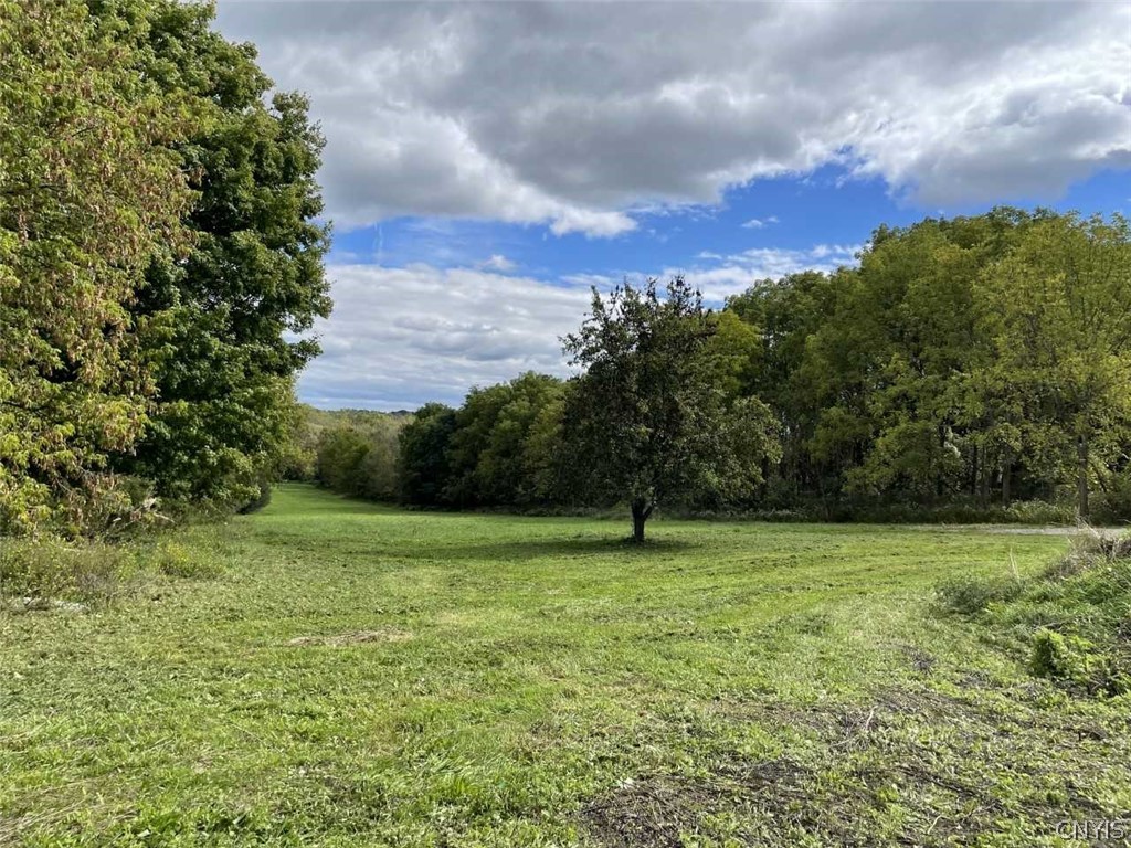 6658 River Road Elbridge, NY 13080 - Photo 1 of 1