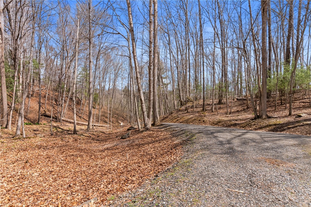 271 Quail Hollow Road Crumpler, NC 28617 - Photo 7 of 30 a backyard of a house with large trees