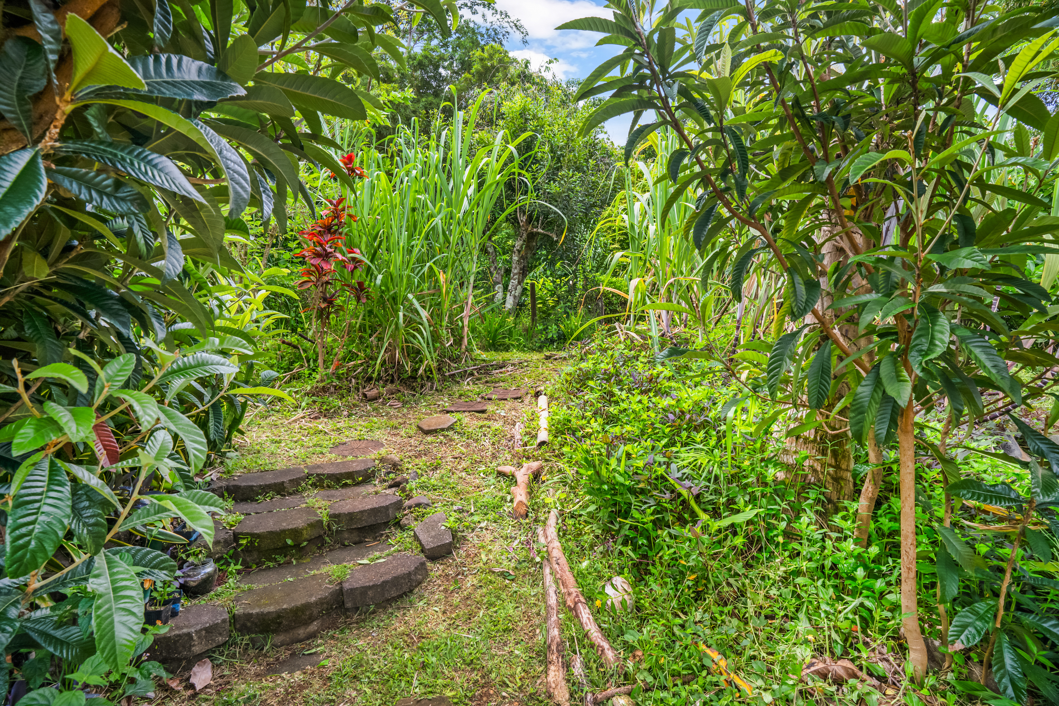 5837 Olohena Road, Unit A Kapaa, HI 96746 - Photo 17 of 30 Gallery Image 17