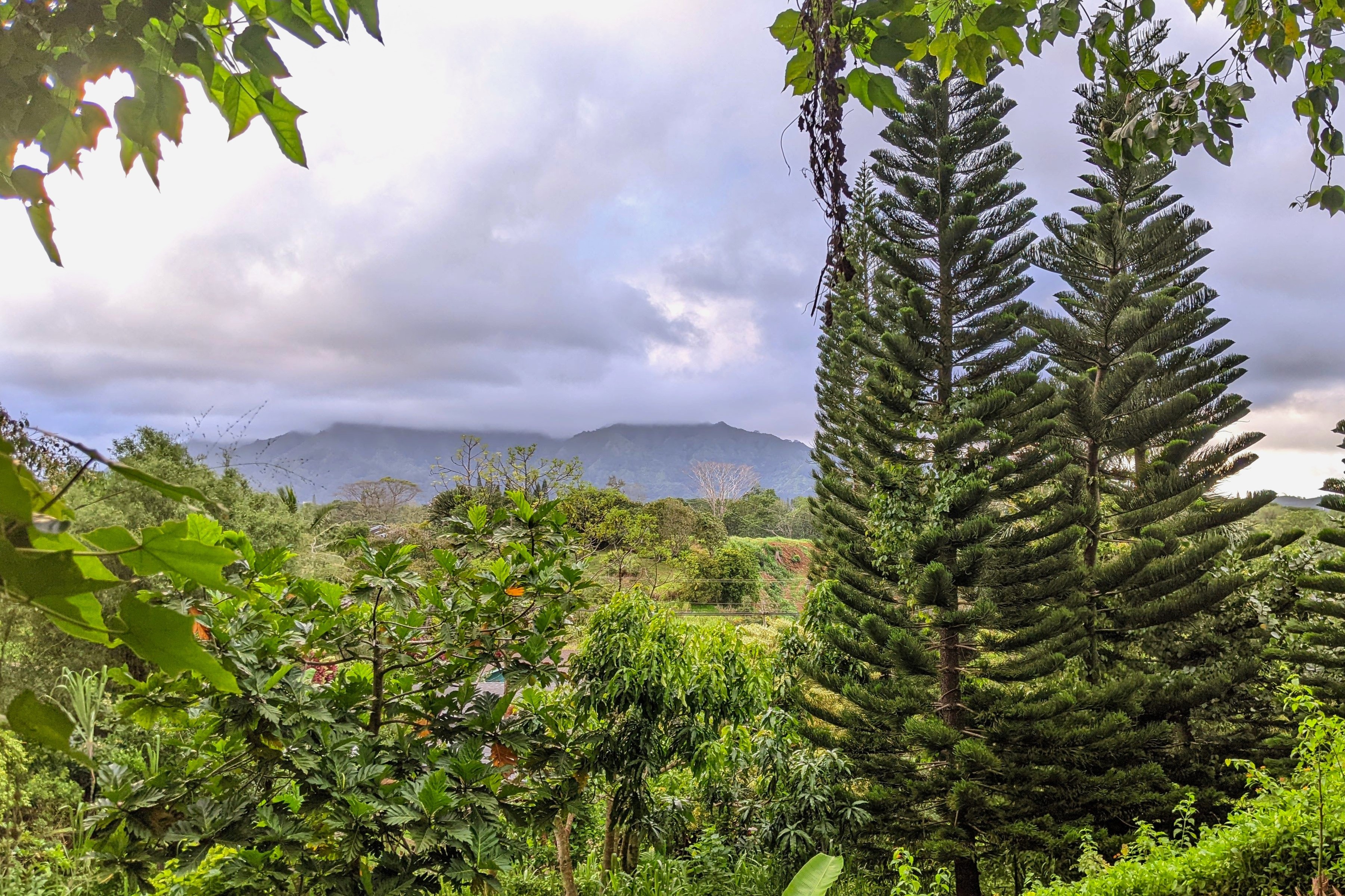 5837 Olohena Road, Unit A Kapaa, HI 96746 - Photo 29 of 30 Gallery Image 29