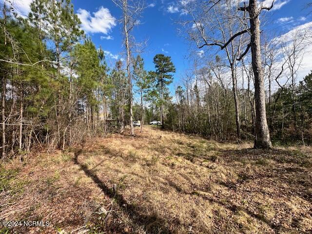4052 Bay Colony Road Northeast Leland, NC 28451 - Photo 8 of 17 IMG_4515