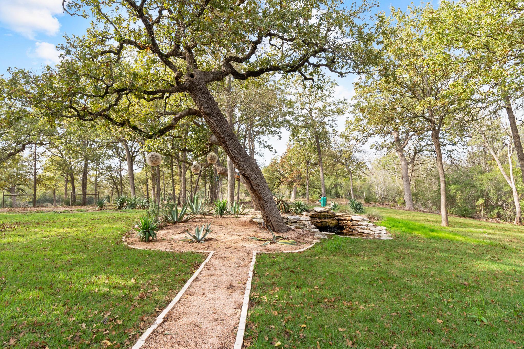 346 The Oaks Boulevard Elgin, TX 78621 - Photo 30 of 39 a garden with trees in the background