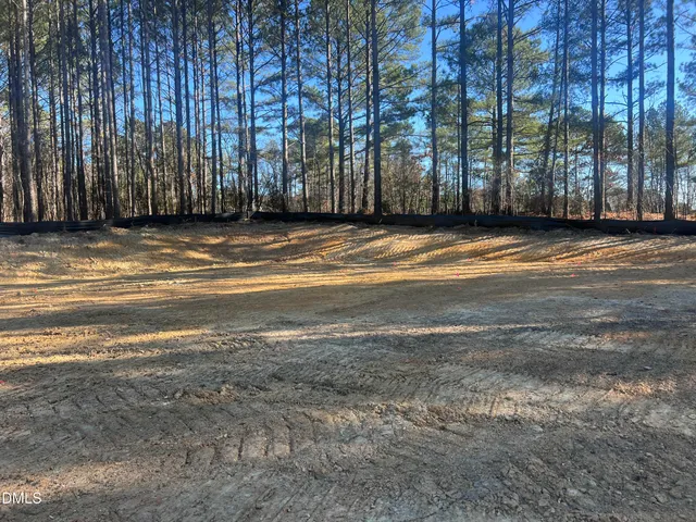 $1,250,000 | 25 Blackhorn Court, Pittsboro, NC 27312