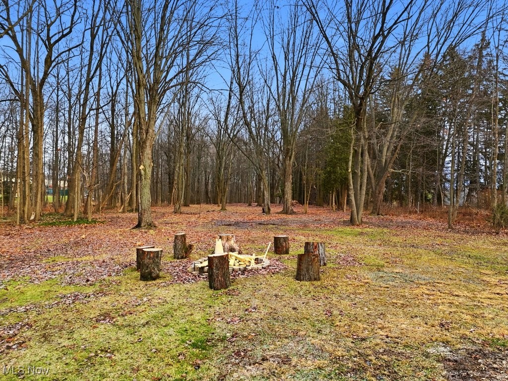 6119 East Sprague Road Independence, OH 44131 - Photo 11 of 45 Back yard fire pit