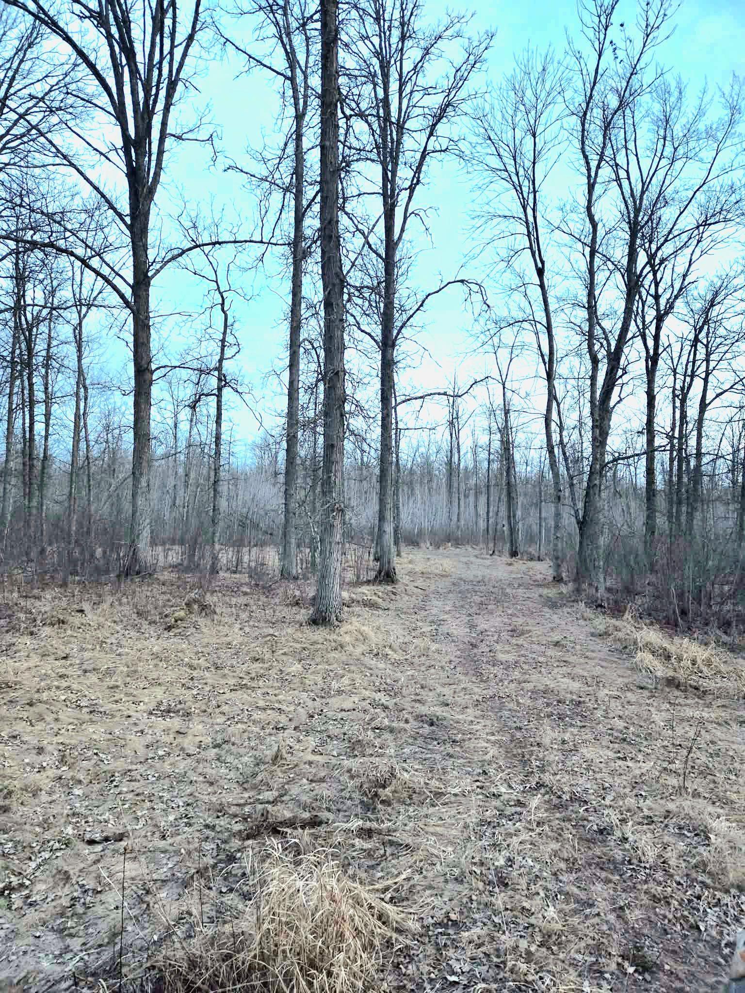194 X Old Creamery Road Sturgeon Lake, MN 55783 - Photo 2 of 12