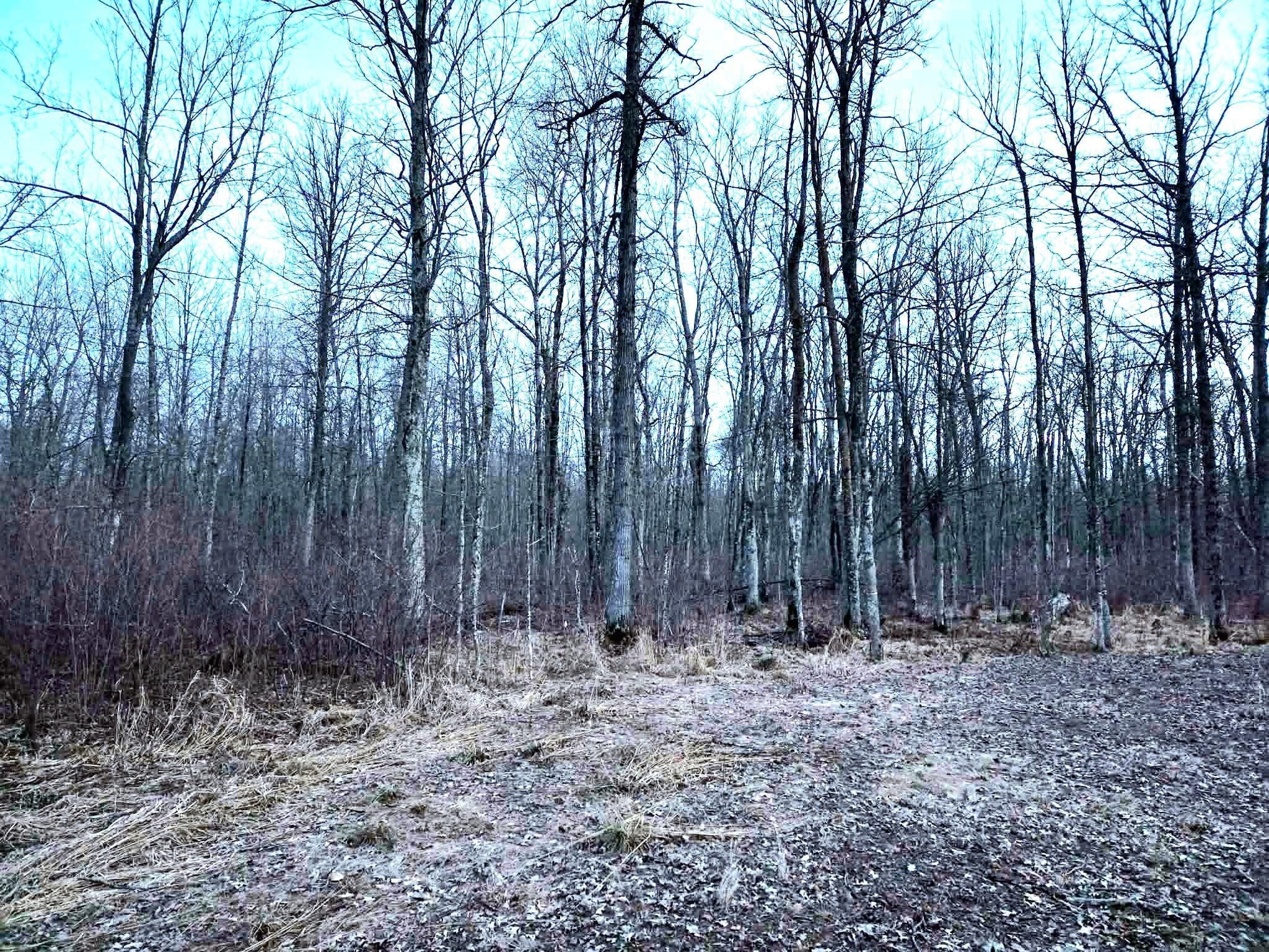 194 X Old Creamery Road Sturgeon Lake, MN 55783 - Photo 4 of 12