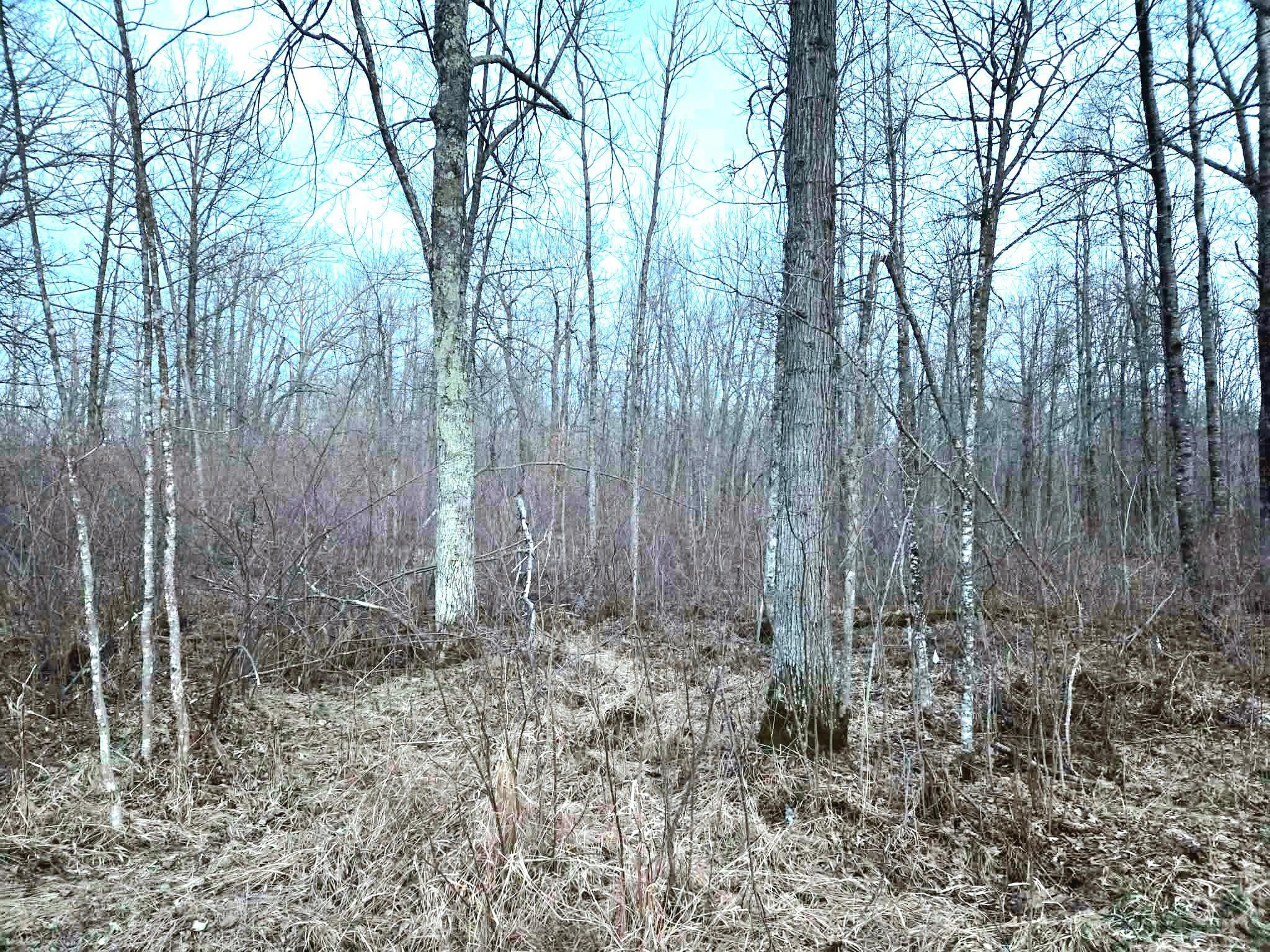 194 X Old Creamery Road Sturgeon Lake, MN 55783 - Photo 7 of 12