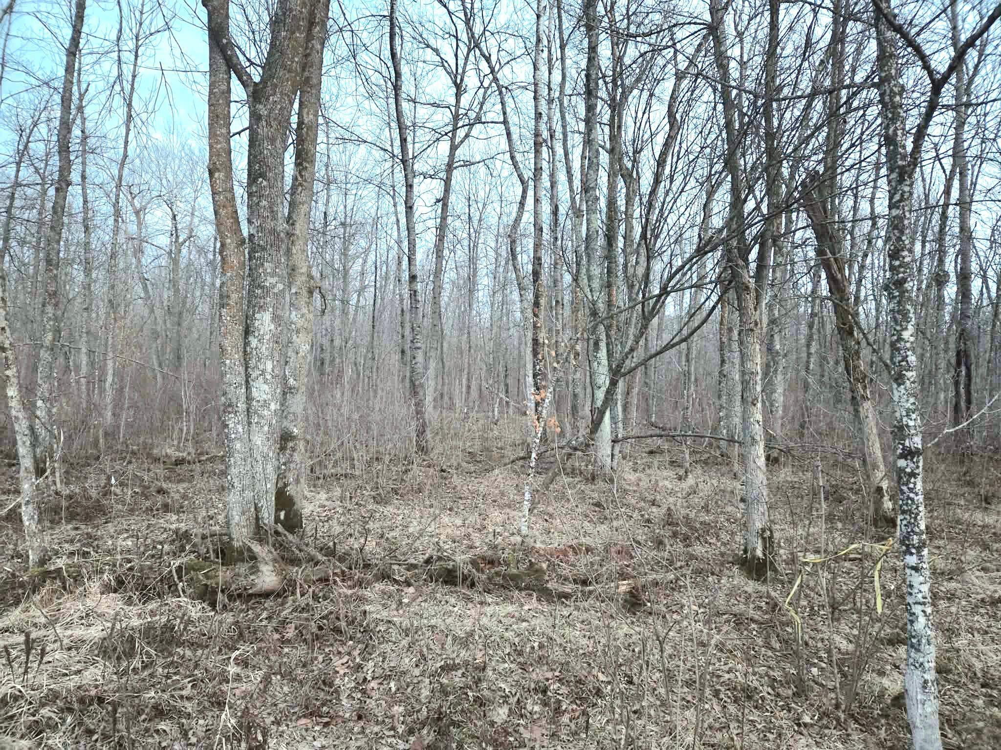 194 X Old Creamery Road Sturgeon Lake, MN 55783 - Photo 9 of 12