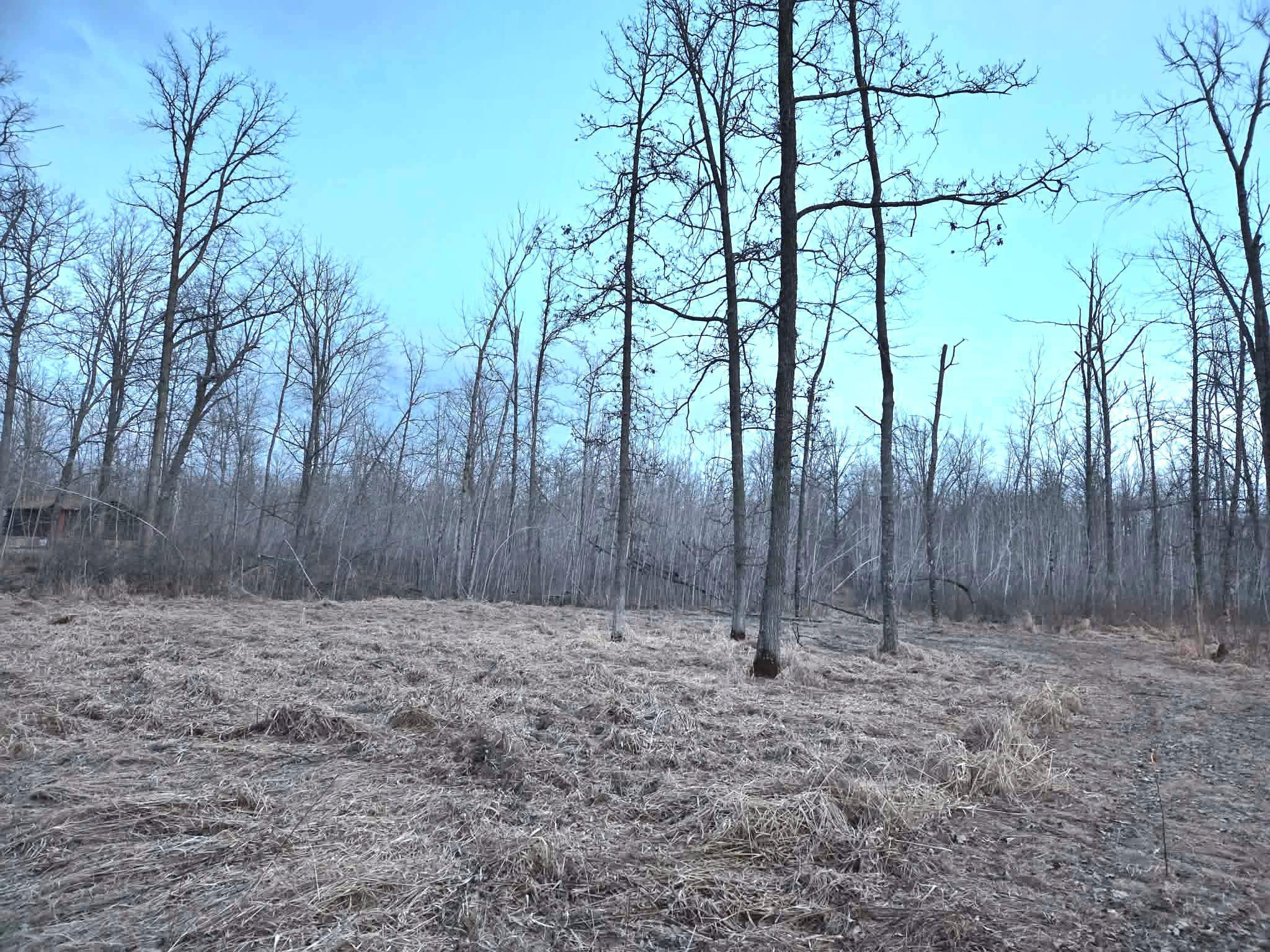 194 X Old Creamery Road Sturgeon Lake, MN 55783 - Photo 10 of 12