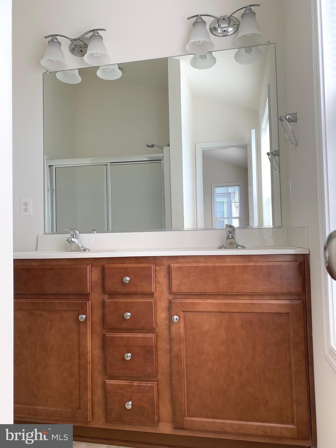 17269 Library Boulevard Ruther Glen, VA 22546 - Photo 9 of 14 a bathroom with a sink vanity and mirror