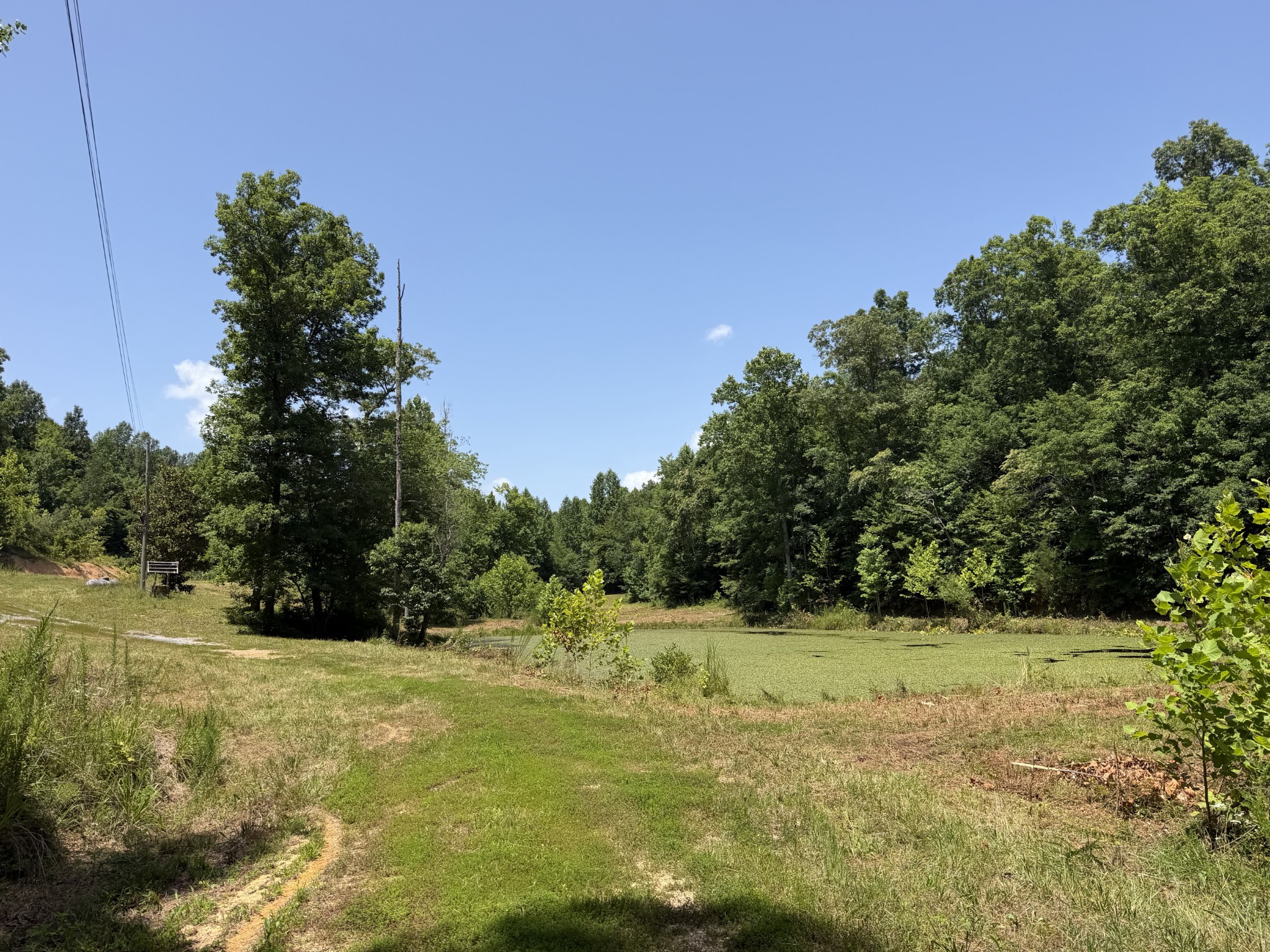215 Bar Bee Road Hohenwald, TN 38462 - Photo 50 of 51