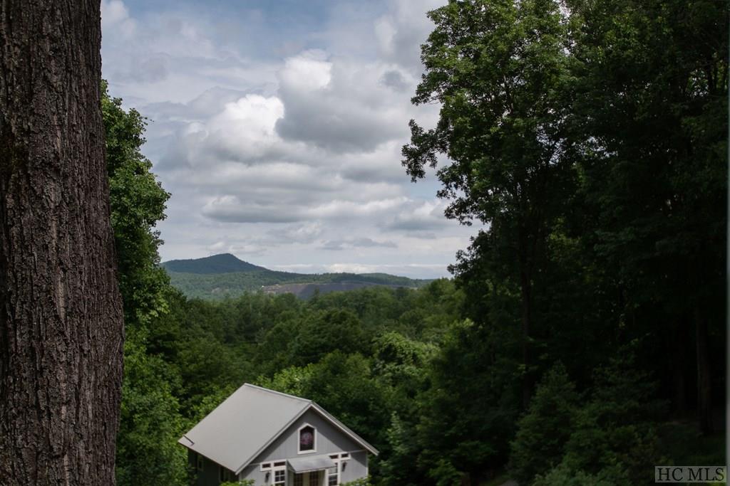 350 Queen Mountain Road Highlands, NC 28741 - Photo 4 of 27 Gallery Image 4