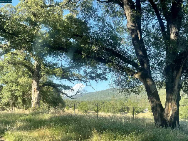 a bathroom with a granite countertop toilet sink and shower