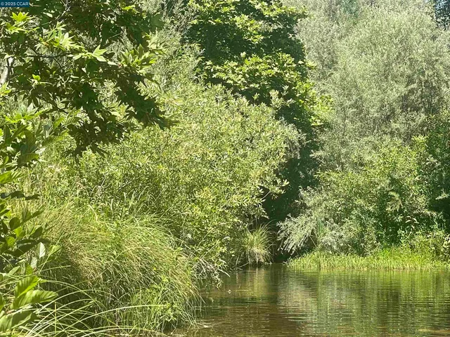 a view of a patio with table and chairs potted plants