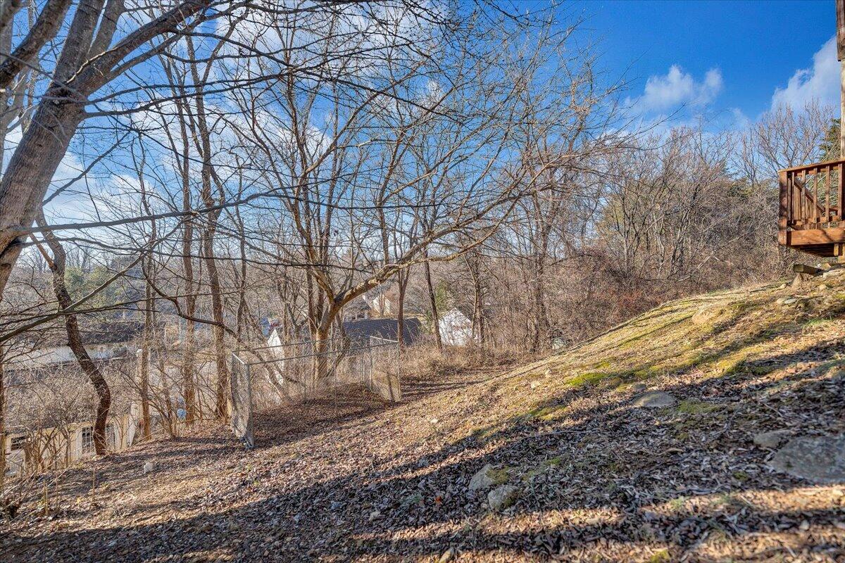 4902 Old Mountain Road Northeast Roanoke, VA 24019 - Photo 35 of 42 a view of a yard with trees