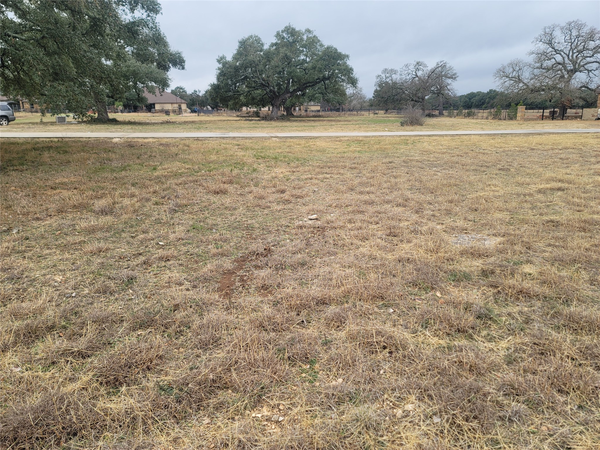 104 Gabgrove Court Georgetown, TX 78633 - Photo 11 of 11 The property features an expansive lot with a mix of dried grass and visible ground, providing a natural setting