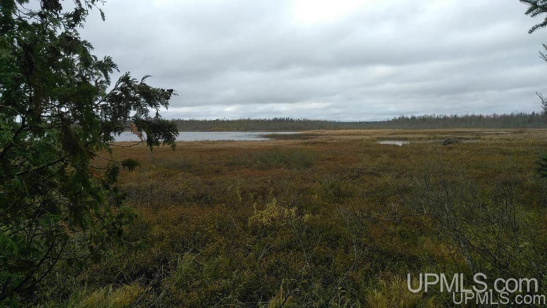 Tbd Schnurer Road, Unit 80 AC Manistique, MI 49854 - Photo 3 of 24 Gallery Image 3