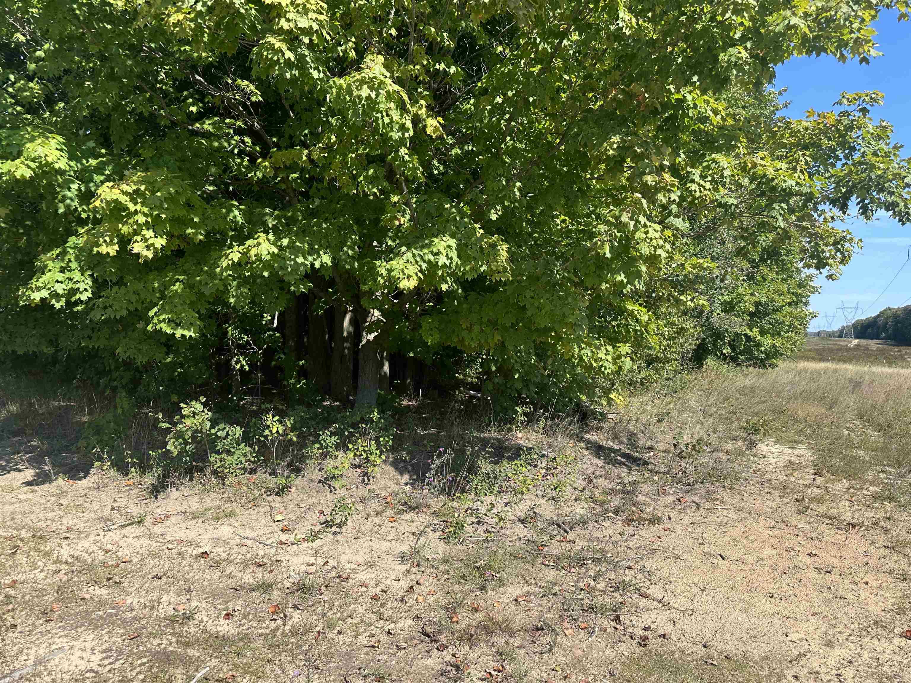 0 Viaduct Road Copemish, MI 49625 - Photo 7 of 19