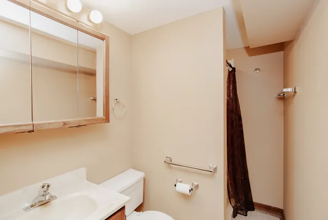 $350,000 | 311 Vine Avenue, Unit E, Park Ridge, IL 60068