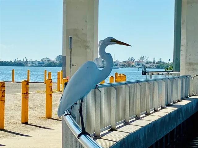 $3,500 | 113 12th Street, Belleair Beach, FL 33786