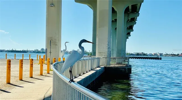 $3,500 | 113 12th Street, Belleair Beach, FL 33786