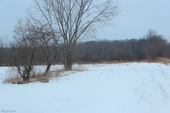 3240 East South Range Road New Springfield, OH 44443 - Photo 6 of 19