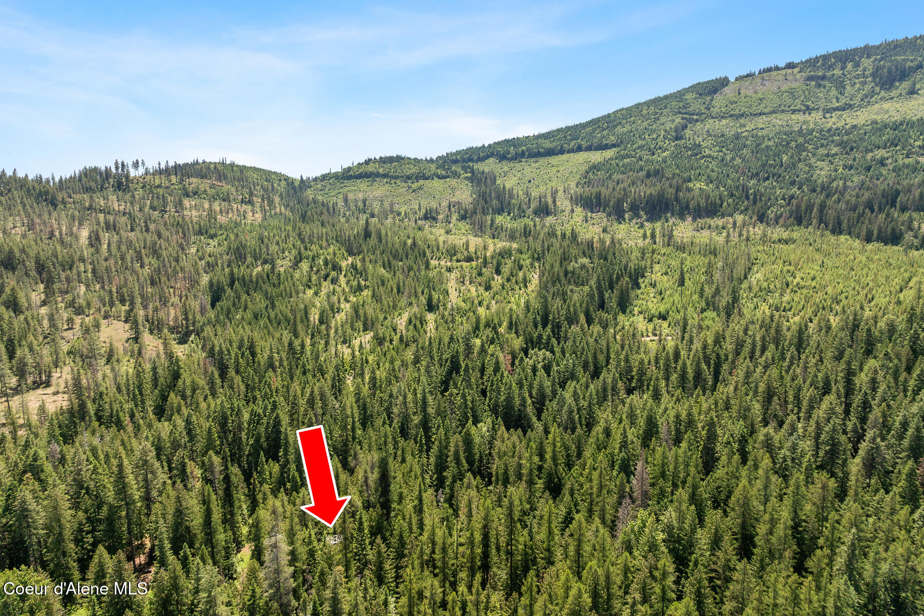 6877 West Lower Excelsior Beach Shore Rathdrum, ID 83858 - Photo 12 of 47 Aerial Exelsior Beach Cabin
