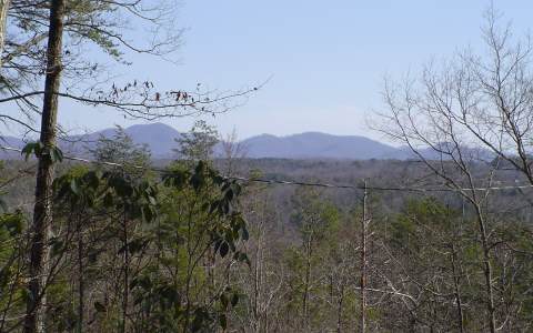 Lot 3 Dividing Ridge Road Mineral Bluff, GA 30559 - Photo 1 of 1 Main View