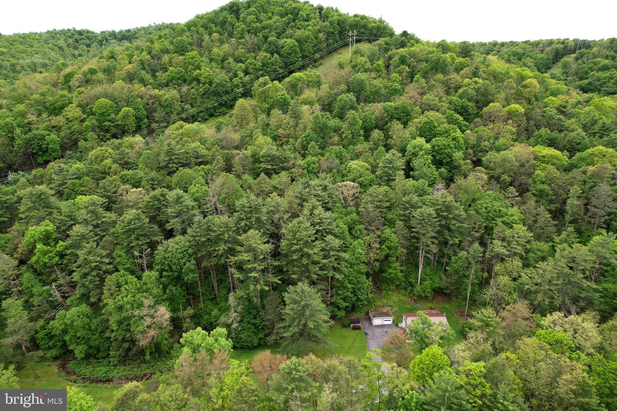 904 Moose Run Road Bellefonte, PA 16823 - Photo 60 of 62