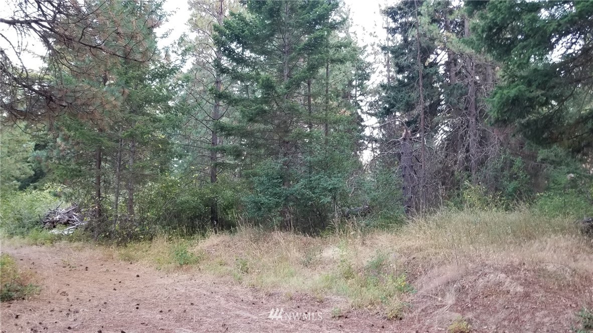 560 Hawk Haven Road Cle Elum, WA 98922 - Photo 19 of 25 Gallery Image 19