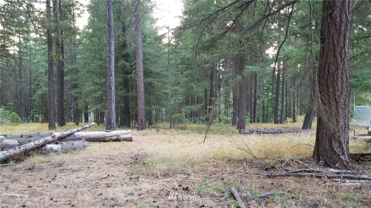 560 Hawk Haven Road Cle Elum, WA 98922 - Photo 20 of 25 Gallery Image 20