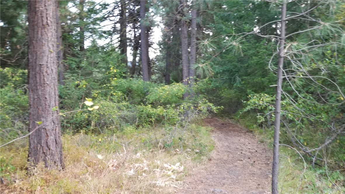 560 Hawk Haven Road Cle Elum, WA 98922 - Photo 24 of 25 Gallery Image 24