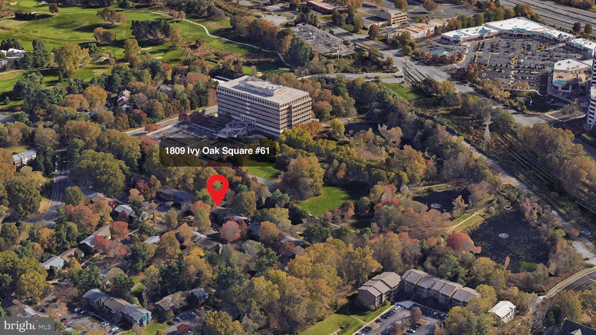 1809 Ivy Oak Square, Unit 61 Reston, VA 20190 - Photo 3 of 36