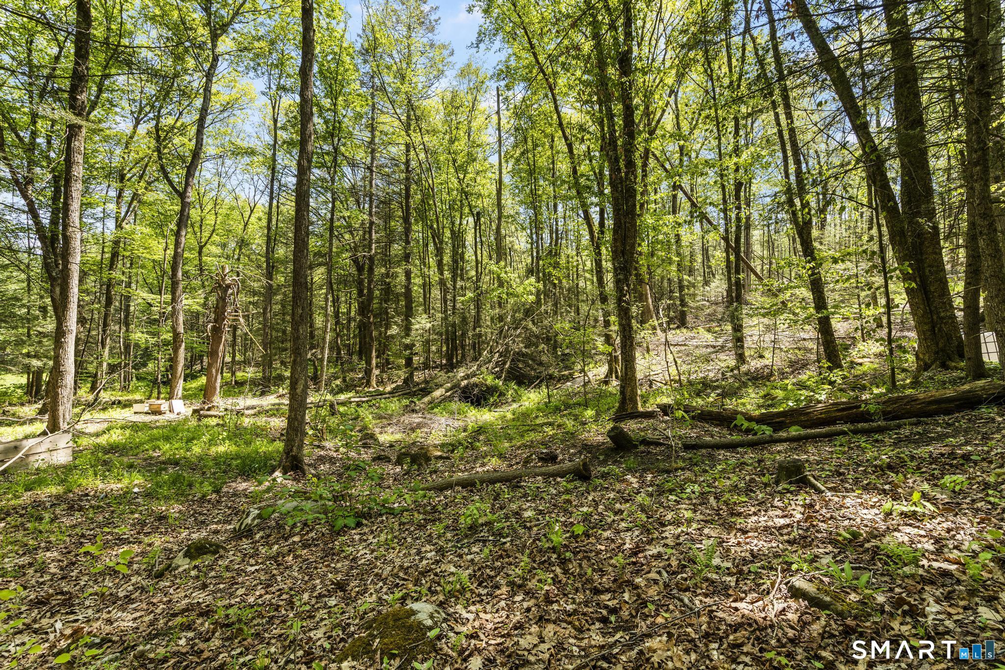 321 Colebrook Road Winchester, CT 06098 - Photo 9 of 39