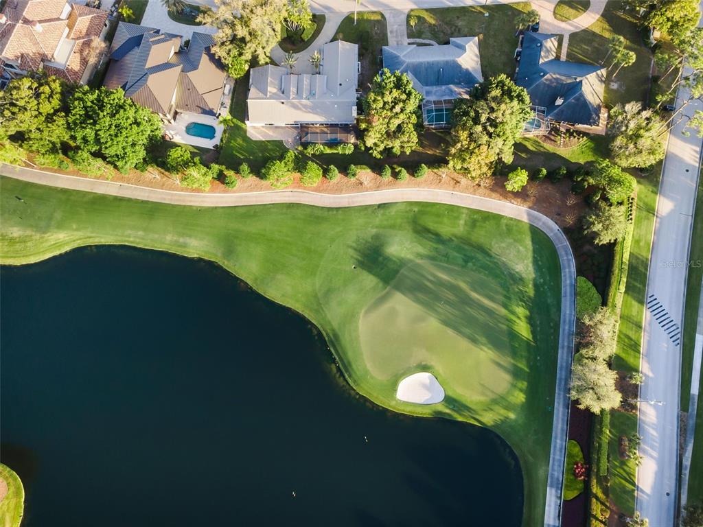 4 Hibiscus Road Belleair, FL 33756 - Photo 58 of 75 a view of a swimming pool with a garden