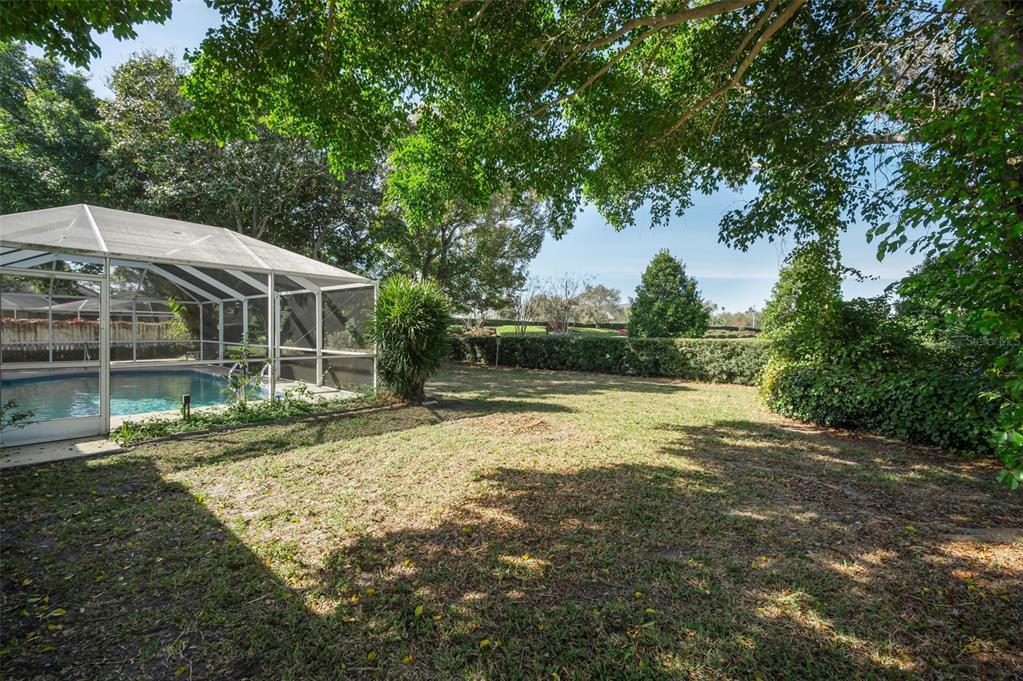 4 Hibiscus Road Belleair, FL 33756 - Photo 59 of 75 a view of backyard with green space