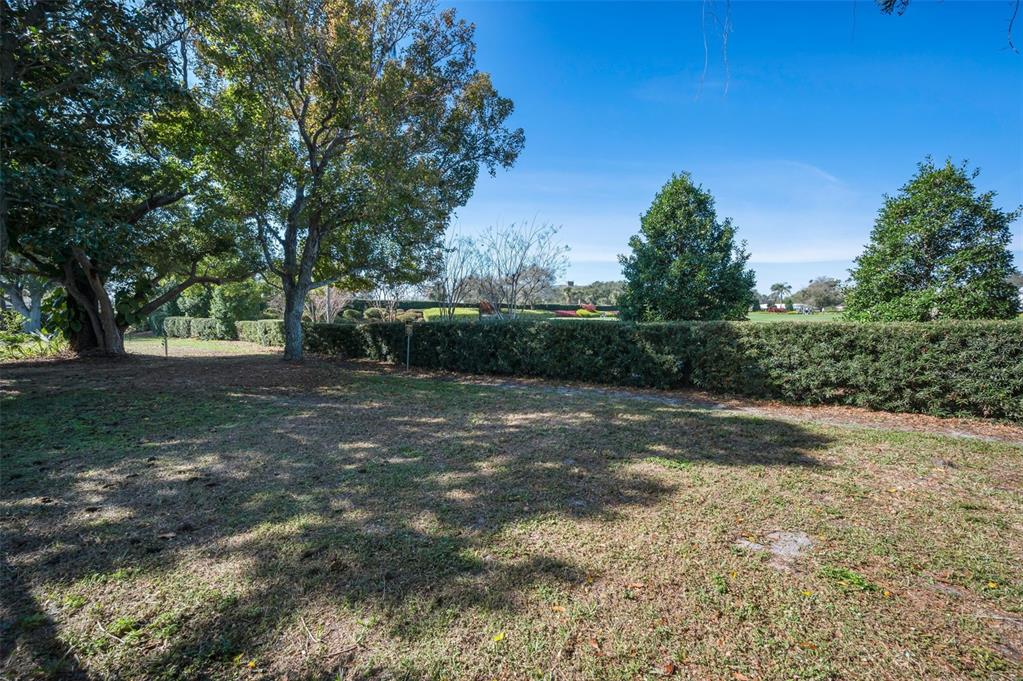 4 Hibiscus Road Belleair, FL 33756 - Photo 61 of 75 a view of backyard with green space