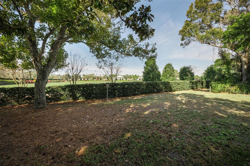 4 Hibiscus Road Belleair, FL 33756 - Photo 63 of 75 a view of a field with trees around